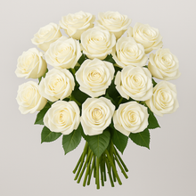 Exquisite Roses + Ruscus [Newsletter Exclusive]
